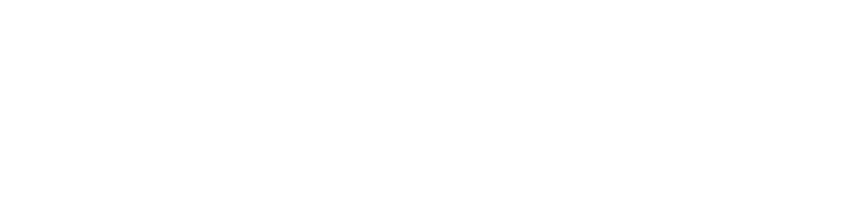 White Lone Pine Foundation logo with a stylized triangular pine tree on the left and the organization name in uppercase letters as the Primary Header on the right, set against a transparent background.
